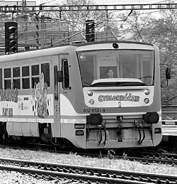 Ledová kalamita nás nezastaví