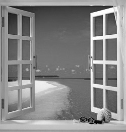 Which is the right window for you?